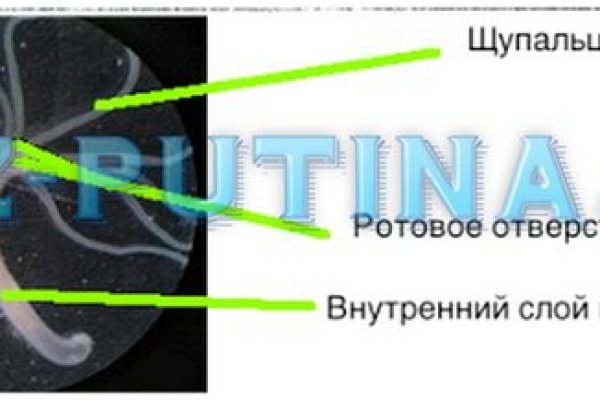 Кракен сайт вход