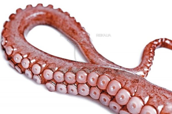 Кракен сайт официальный ссылка kraken clear com