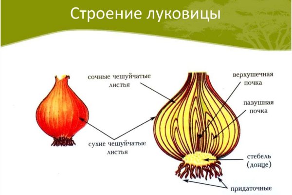 Кракен 12 сайт
