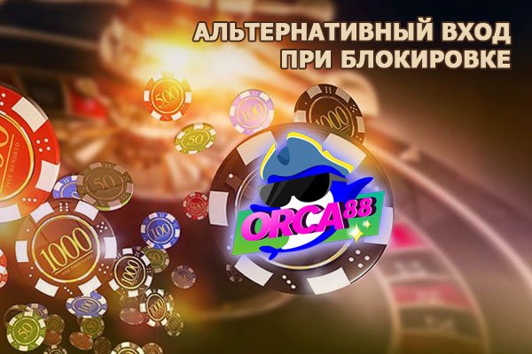 Как зайти на кракен с телефона