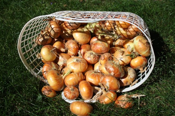 Взломали кракен аунтификатор