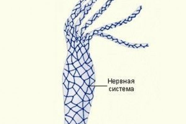 Не работает сайт kraken