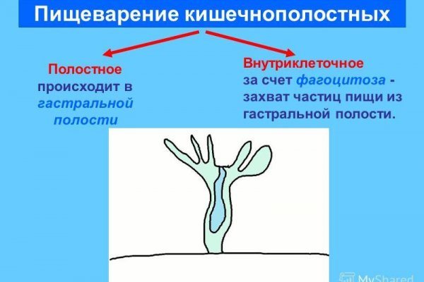 Кракен ссылка на сайт