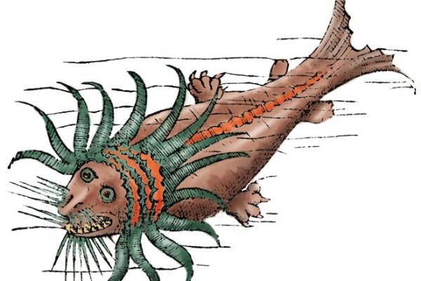 Kraken найдется все
